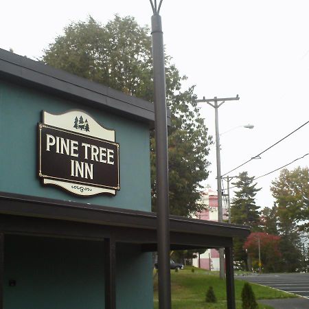 Pine Tree Inn Bangor Buitenkant foto